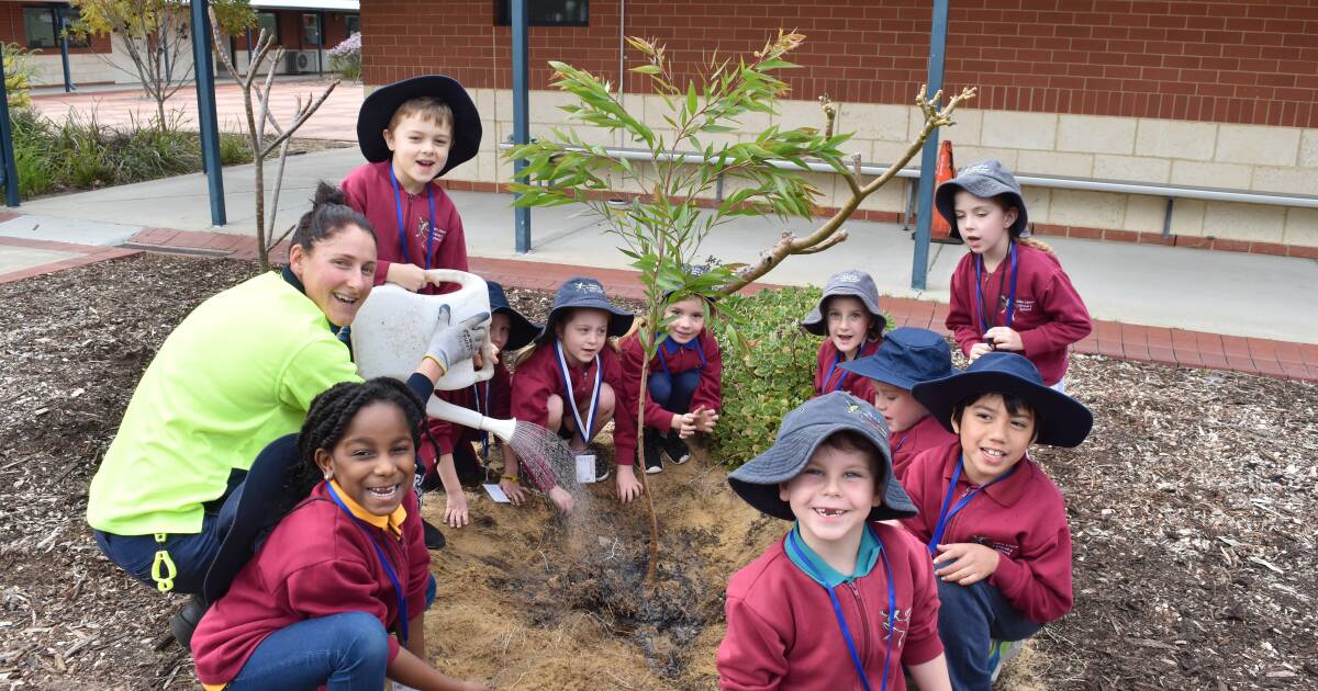 Glen Huon Primary school tree planting day | Bunbury Mail | Bunbury, WA
