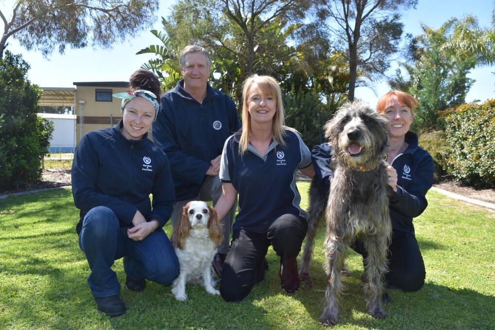 Office manager Janette Kenbeek (pictured centre) is calling on dog owners to attend a dog walk in Dalyellup to raise funds for Assistance Dogs Australia. Pictured also is Cavalier 'Samantha' and Wolfhound Cross 'Swamp Monster'. Photo: Ivy James