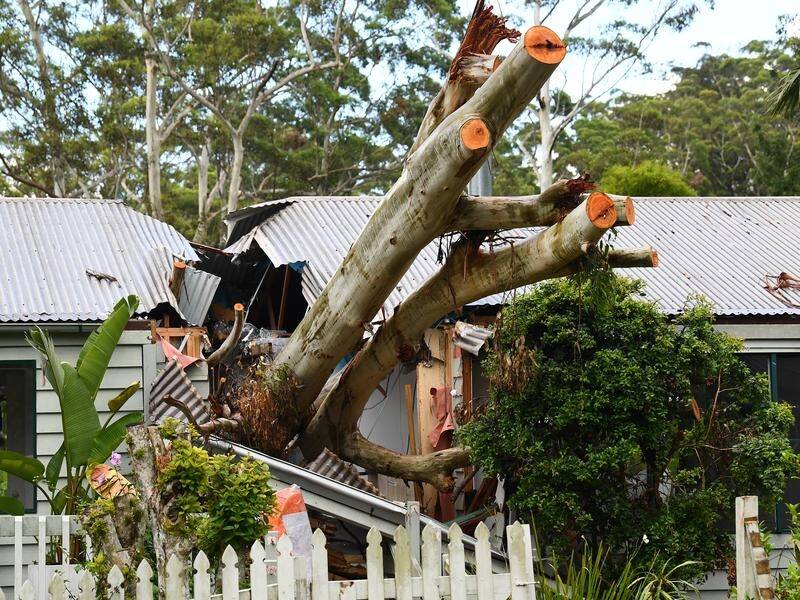 Australia has been slammed with wild swings between cyclones, floods, heatwaves and bushfires. (Jono Searle/AAP PHOTOS)