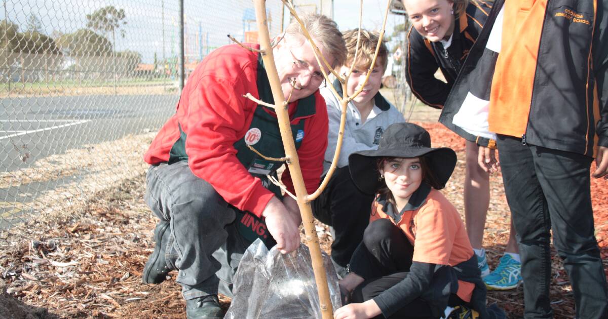 Bunbury's Cooinda Primary does their bit for National Schools Tree Day ...